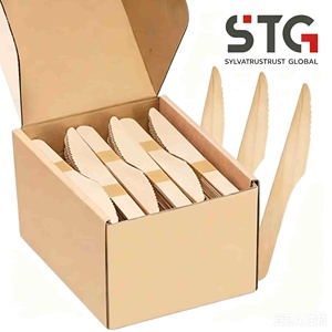 Custom Logo Disposable Birch Wooden Spoon